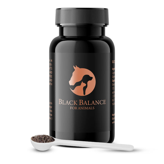 BLACK BALANCE POWDER FOR ANIMALS