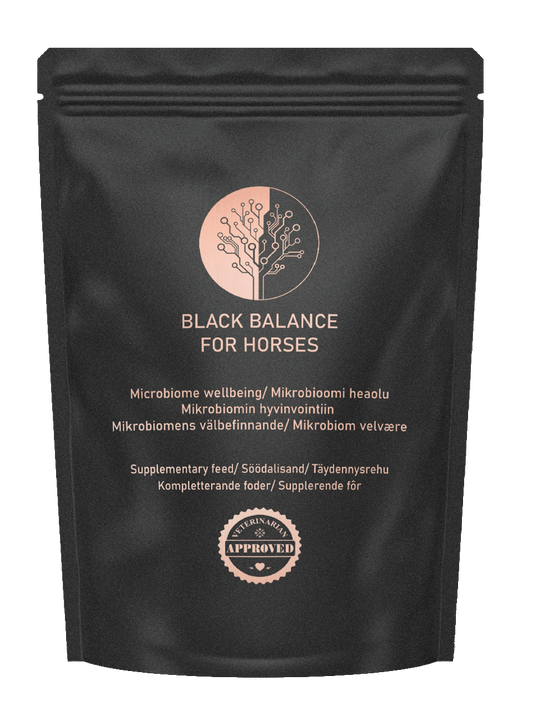 BLACK BALANCE FOR HORSES